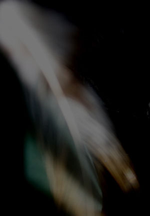 feather1