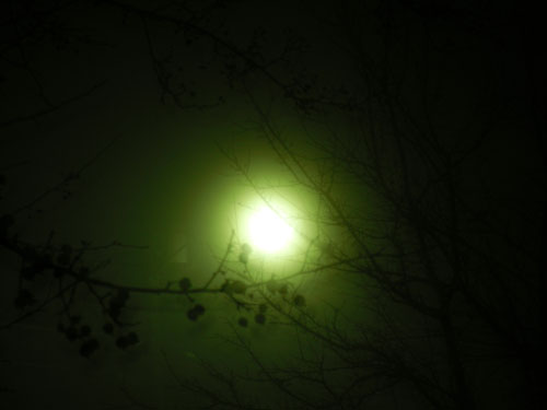 green_glow